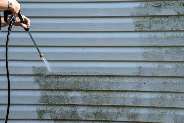 Same-Day Junk Removal Services in North Bend, NE